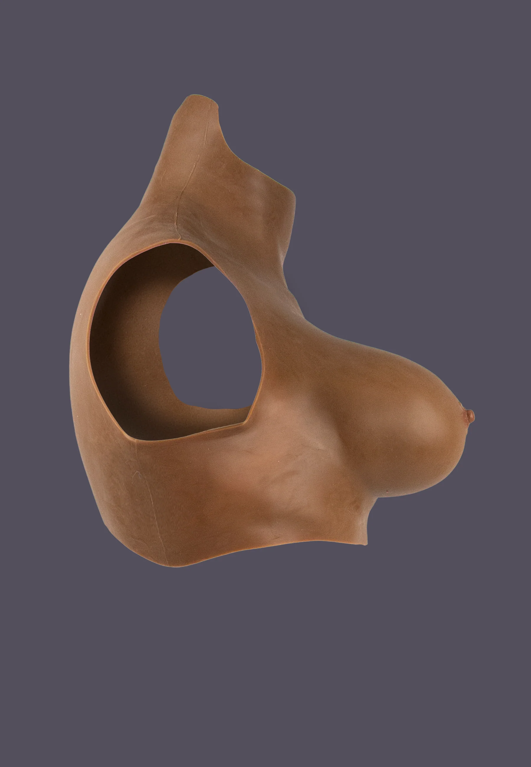Silicone Torso with Breasts chocolate - Image 3