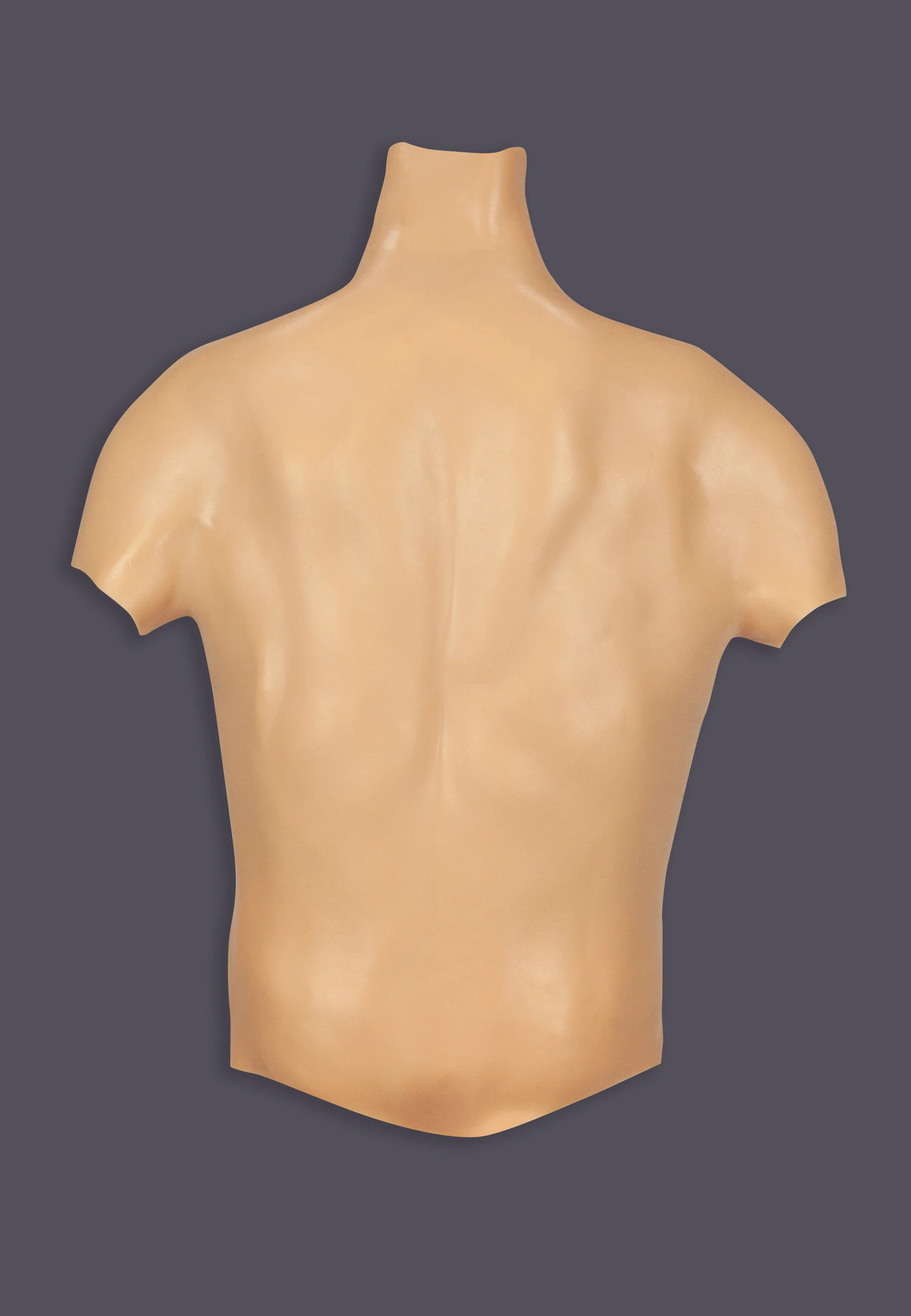 Silicone Torso Pecs and Abs vanilla - Image 4